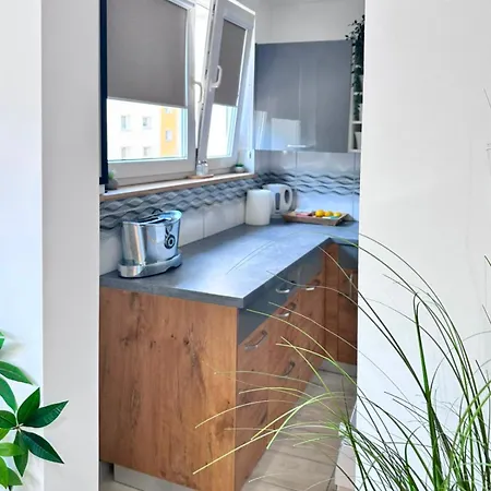 Teczowy Tukan Apartmán Kwidzyn