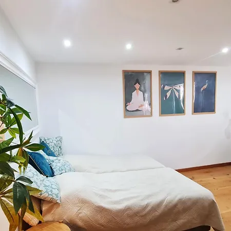 Teczowy Tukan Apartmán Kwidzyn