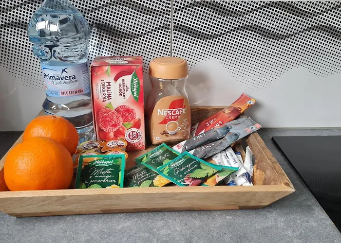 Pastelowy Tukan * Kwidzyn